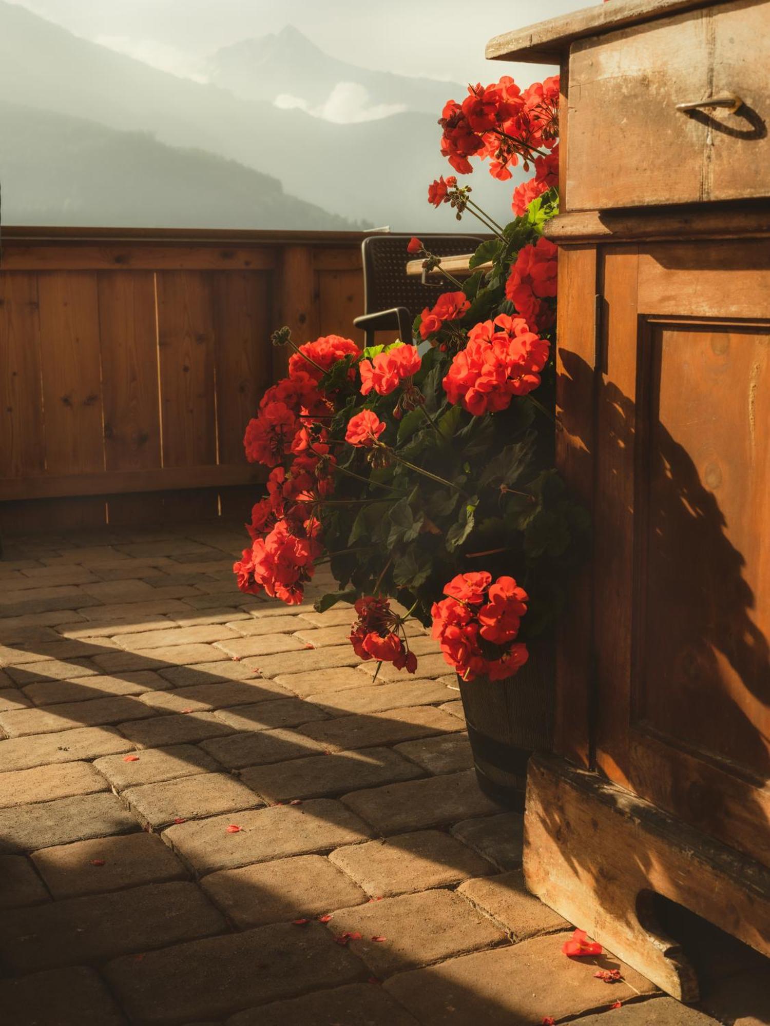 Schulhaus Tirol Hotel Zellberg Exterior photo